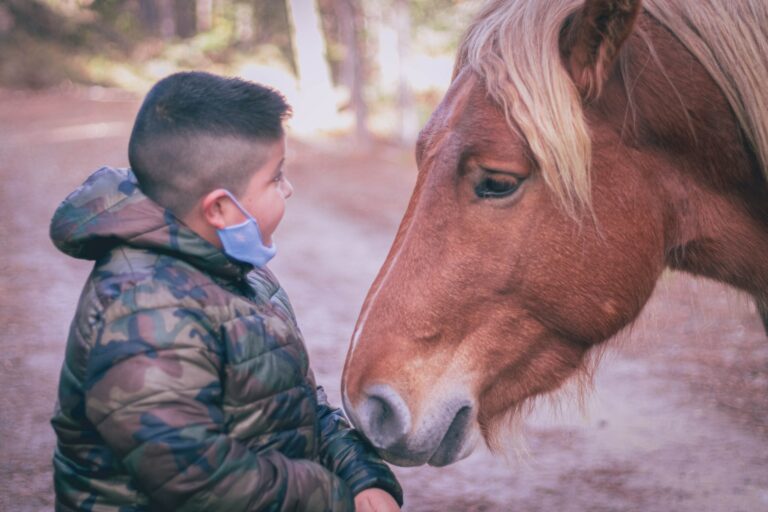 IL RUOLO DELL’INFERMIERE NELLA RIABILITAZIONE EQUESTRE: STUDIO OSSERVAZIONALE